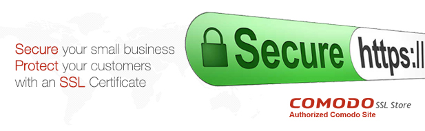 Secure and Protect your Website and Customers