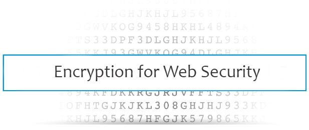 Encryption for Web Security