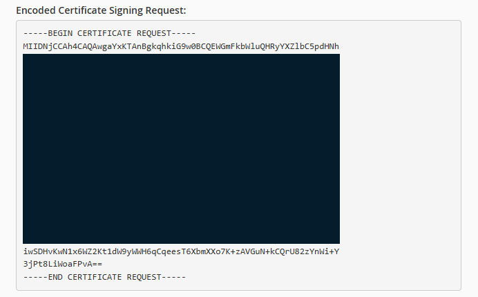 A screenshot of an example wildcard CSR