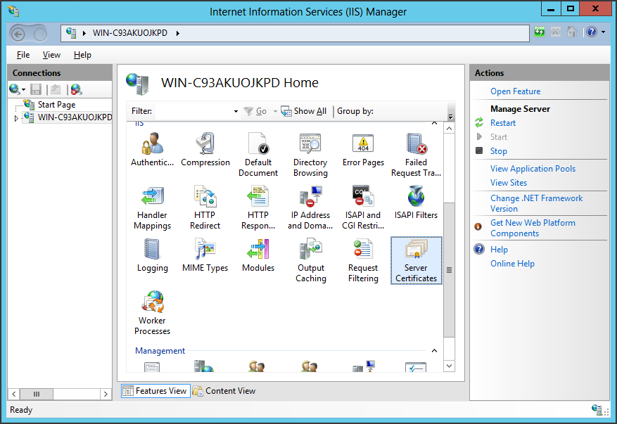 Installing the wildcard certificate on IIS