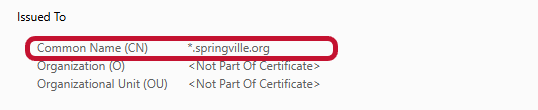 An example of a wildcard domain