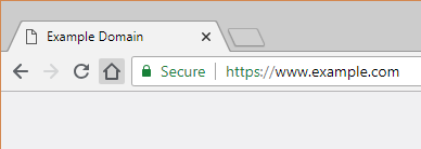 SSL and HTTPS enables the Secure Address Bar