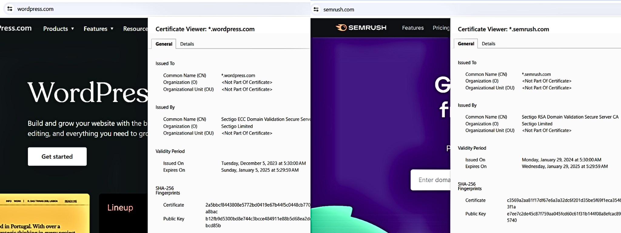 A Look at Single-Domain and Multi-Domain Wildcard SSL Certificates ...