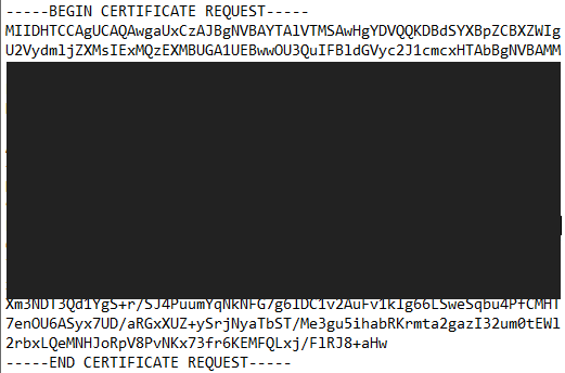 A screenshot of an example certificate signing request (CSR)