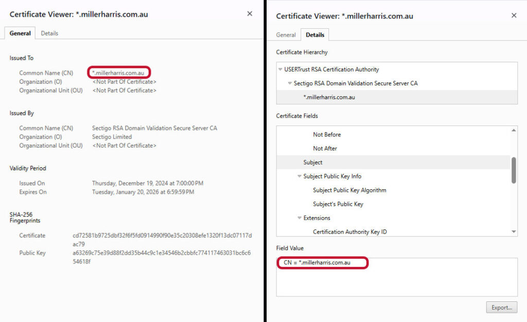 A two-part wildcard SSL certificate example that shows the certificate's common name 